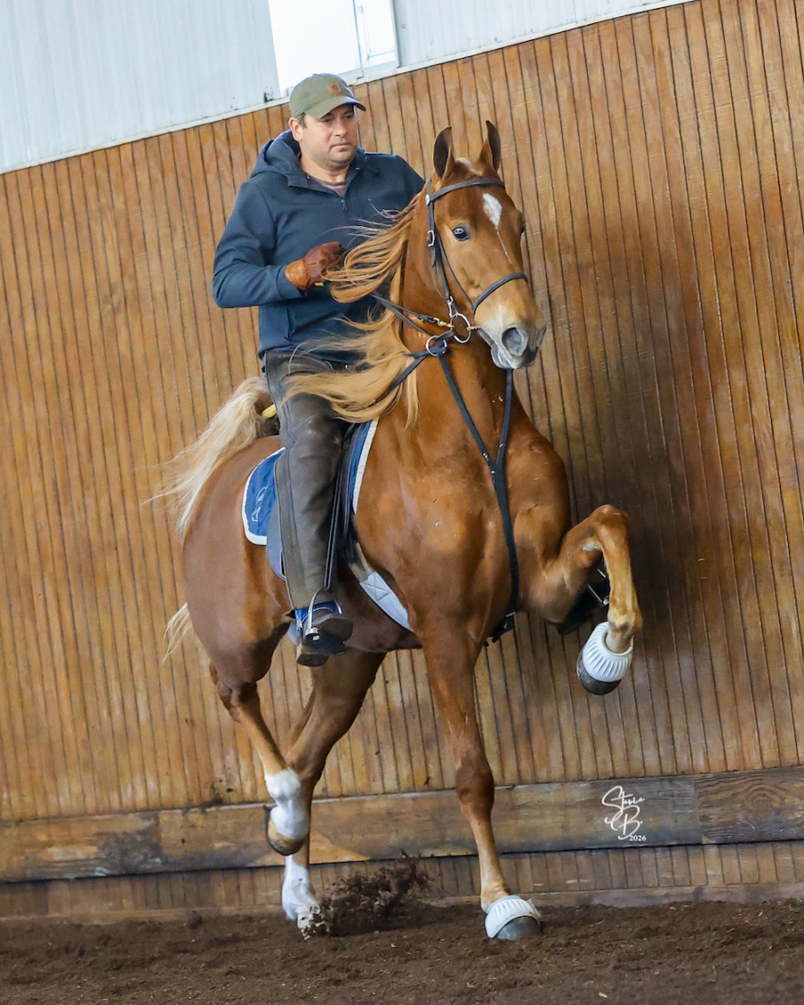 ROSELANE'S CHARMING CHARLIE