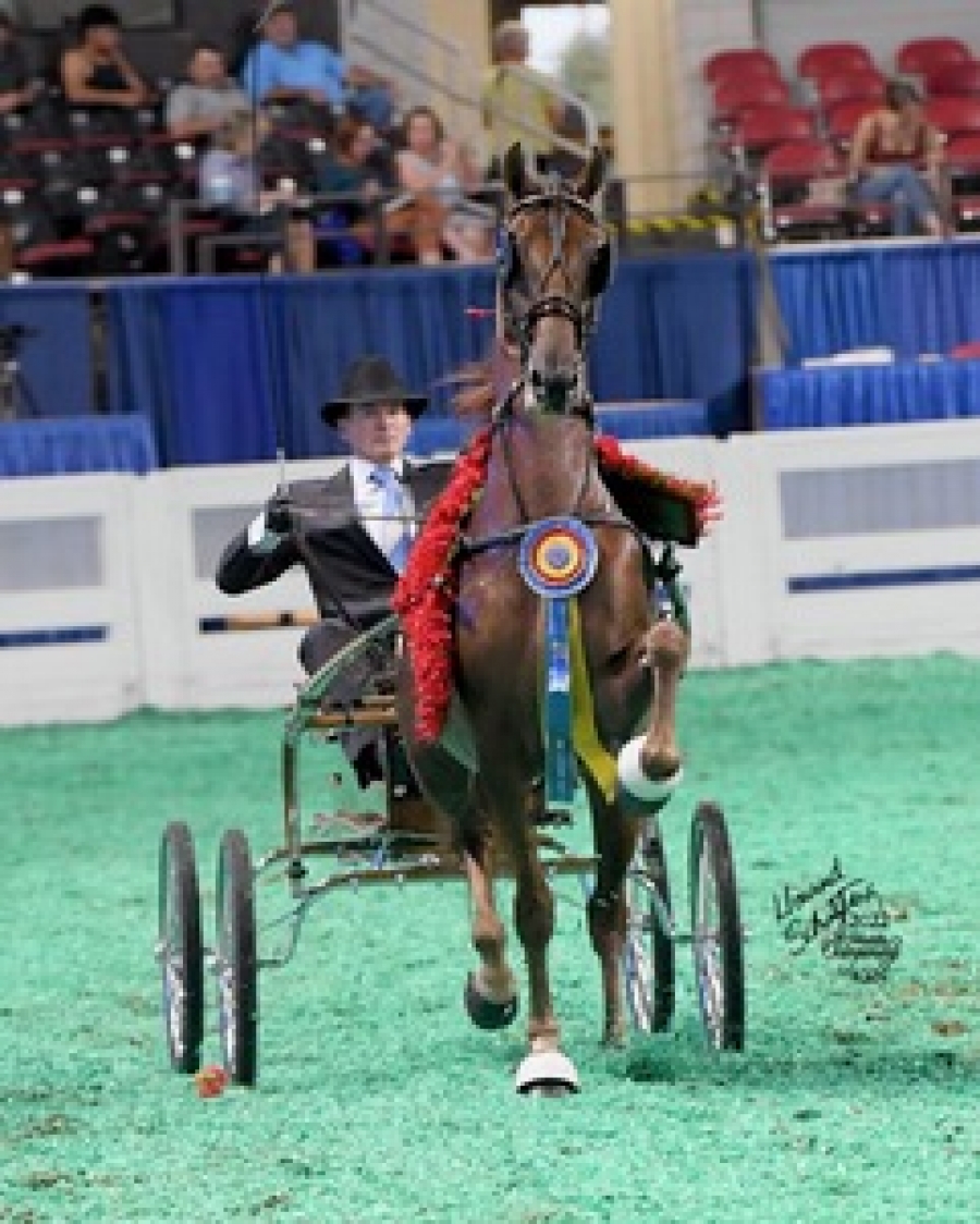 DOUBLETREES DIVINE MARC