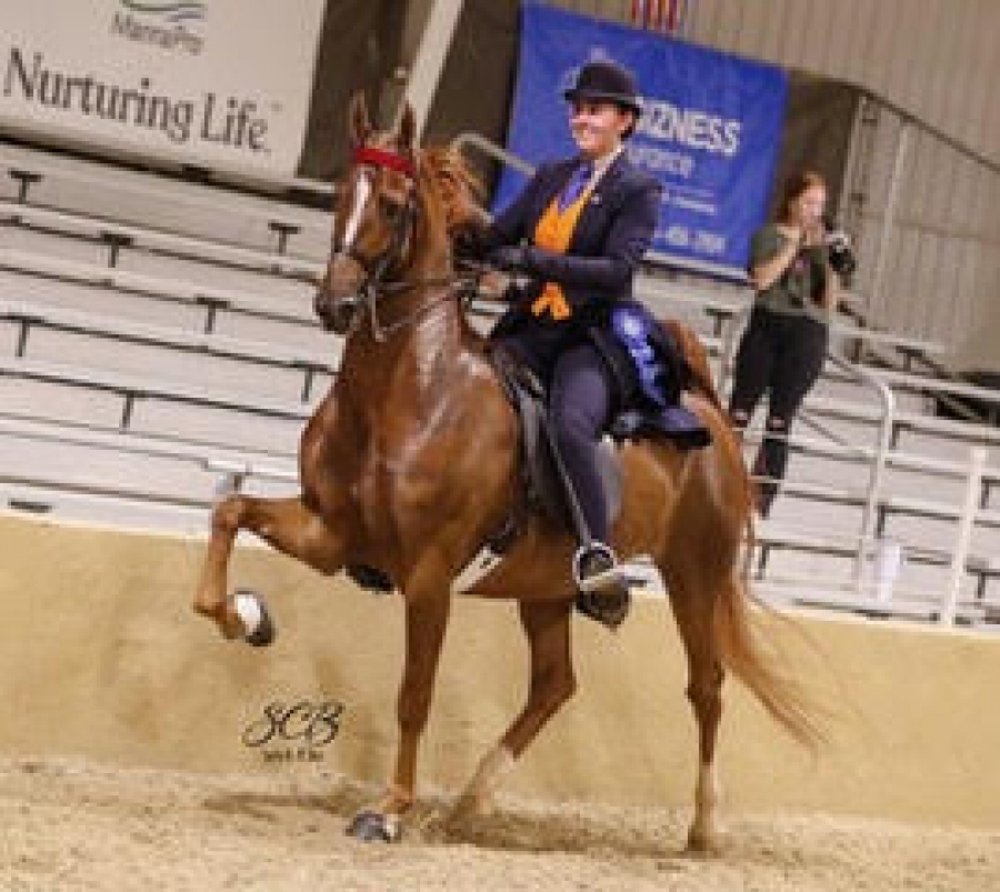 DOUBLETREES TAME THIS