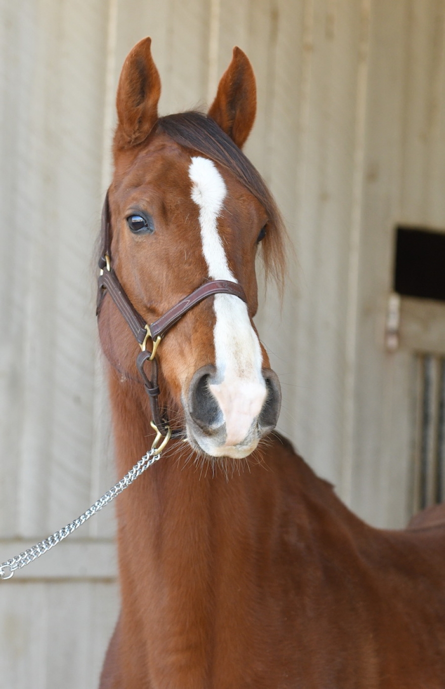 TRULY TRULY SCRUMPTIOUS