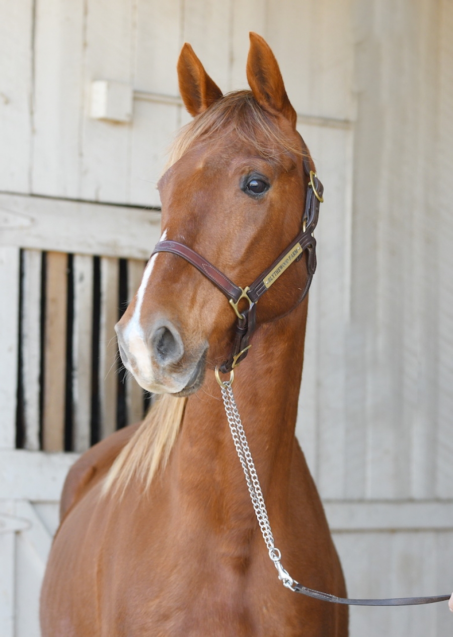 SURPRISE CONVERSATION